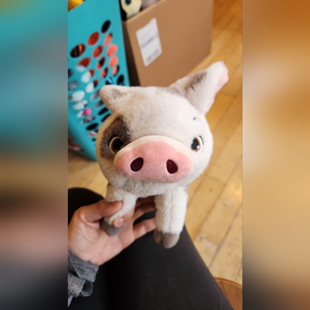 Pua moana pig plush